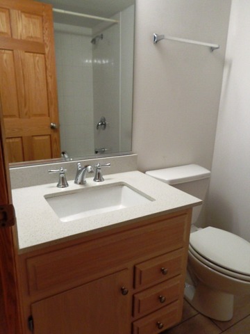7336 40th St #3D, Lyons, IL 60534 photo 11