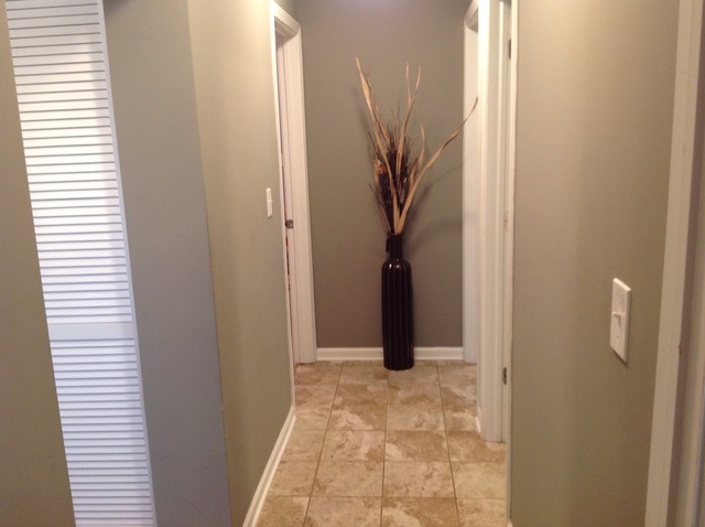 392 Colorado Ave, Aurora, IL 60506 photo 9