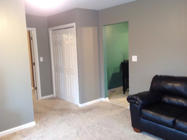 392 Colorado Ave, Aurora, IL 60506 photo 19