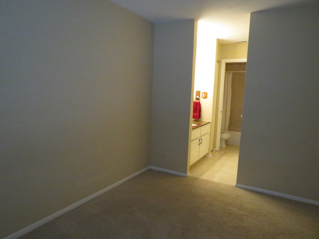 1776 Gloucester Ct #D, Wheaton, IL 60189 photo 16