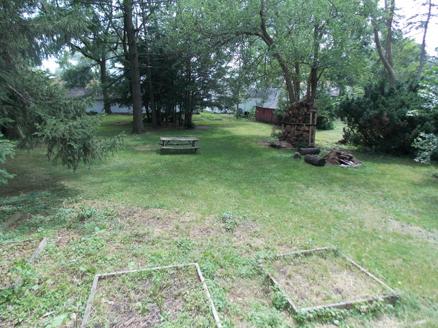 816 University Pl, Wheaton, IL 60187 photo 11