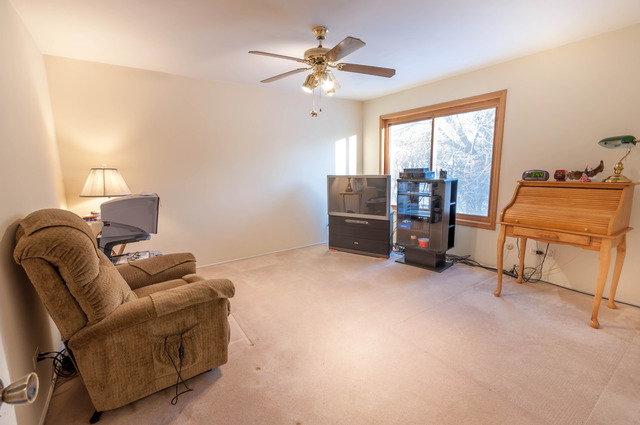 13 Brook Ln, Palos Park, IL 60464 photo 9