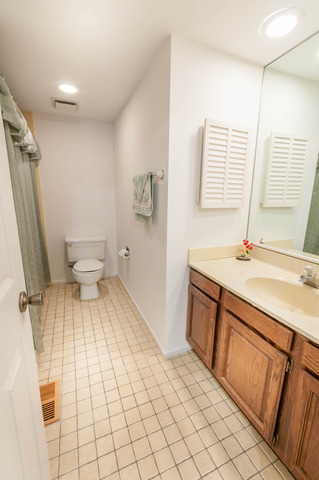 13 Brook Ln, Palos Park, IL 60464 photo 14