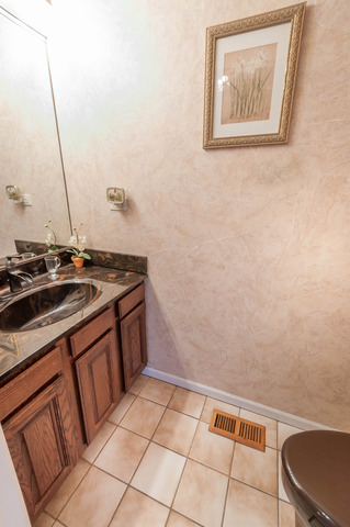 13 Brook Ln, Palos Park, IL 60464 photo 16