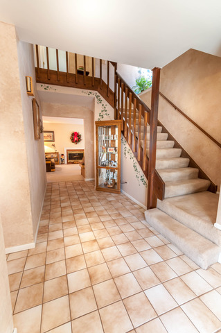 13 Brook Ln, Palos Park, IL 60464 photo 4