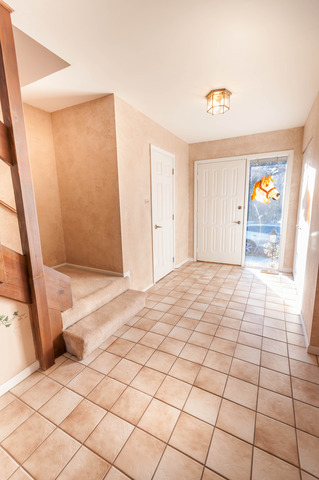 13 Brook Ln, Palos Park, IL 60464 photo 2