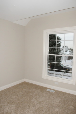 405 S Windhaven Trl, Mchenry, IL 60050 photo 13