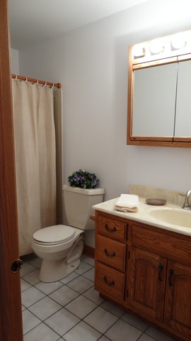 604 Joy Ln, Dundee, IL 60118 photo 14
