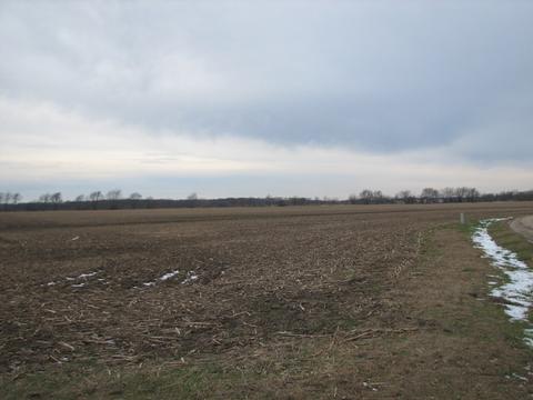 3065 S Gorman Rd, Mazon, IL 60444 photo 11