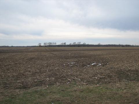 3065 S Gorman Rd, Mazon, IL 60444 photo 9