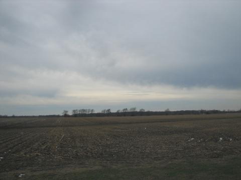 3065 S Gorman Rd, Mazon, IL 60444 photo 8