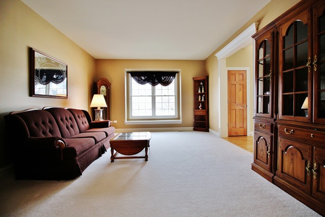11640 Millennium Pkwy, Plainfield, IL 60585 photo 5