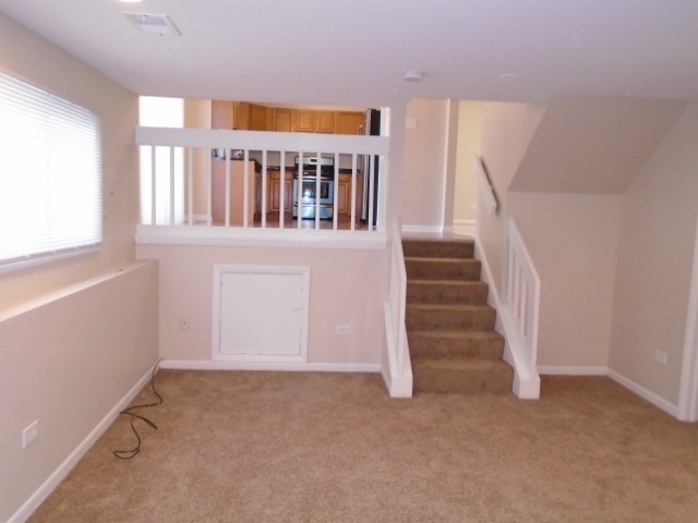 4901 Arquilla Dr, Richton Park, IL 60471 photo 13