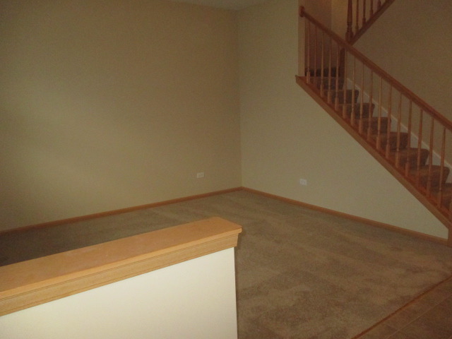 14503 Independence Dr, Plainfield, IL 60544 photo 4