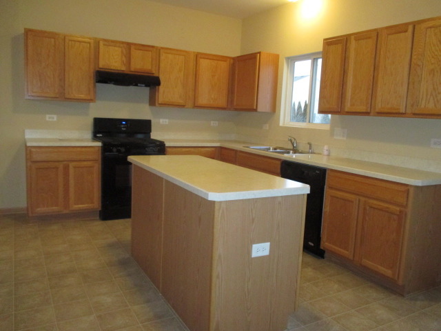 14503 Independence Dr, Plainfield, IL 60544 photo 6