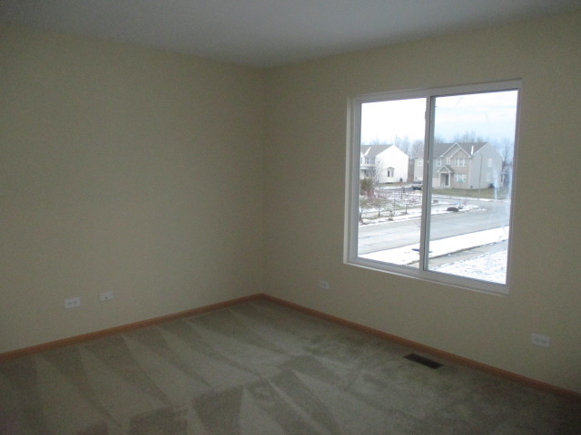 14503 Independence Dr, Plainfield, IL 60544 photo 22