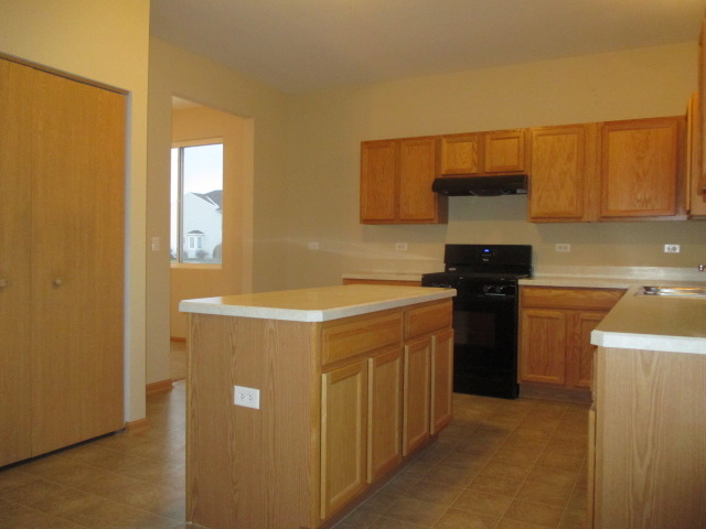 14503 Independence Dr, Plainfield, IL 60544 photo 8