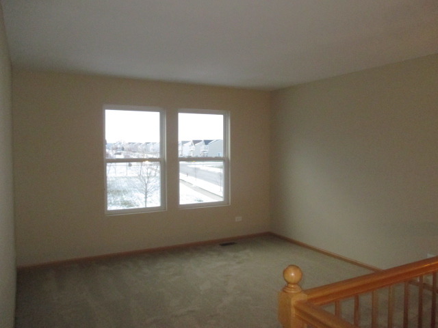 14503 Independence Dr, Plainfield, IL 60544 photo 17