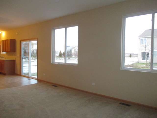 14503 Independence Dr, Plainfield, IL 60544 photo 11