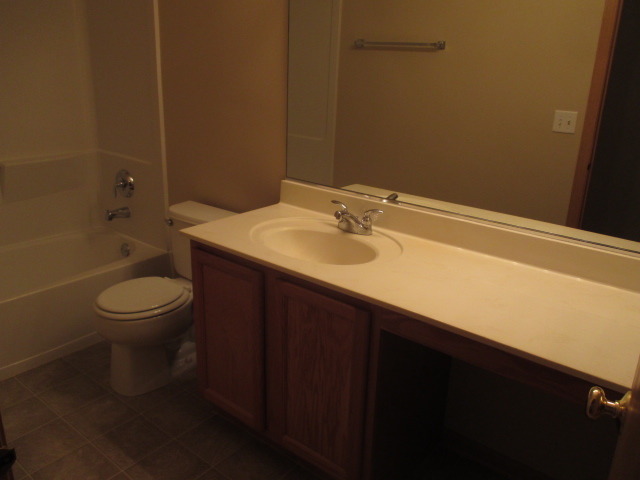 14503 Independence Dr, Plainfield, IL 60544 photo 21