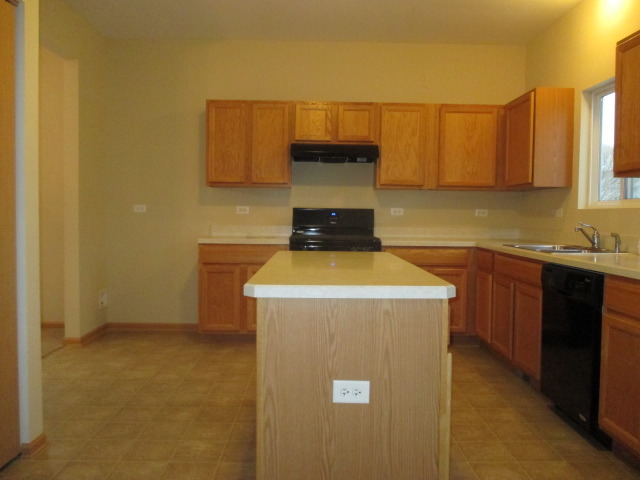 14503 Independence Dr, Plainfield, IL 60544 photo 7