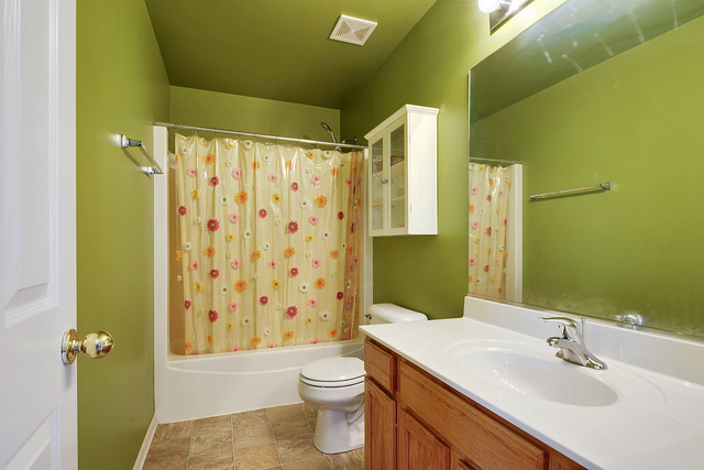 17832 Coriander Ct, Lockport, IL 60441 photo 11