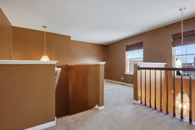 17832 Coriander Ct, Lockport, IL 60441 photo 9