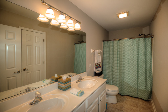 13225 Skyline Dr, Plainfield, IL 60585 photo 18