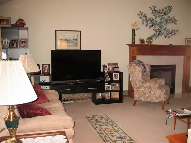 1036 Teal Ave, Peotone, IL 60468 photo 3