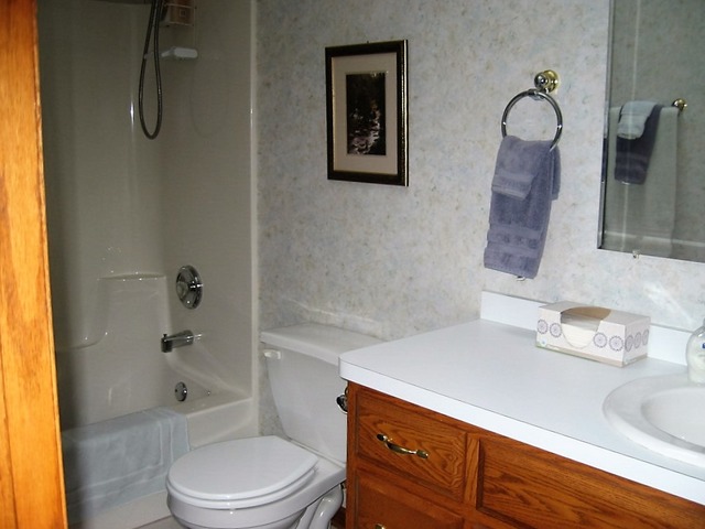 1036 Teal Ave, Peotone, IL 60468 photo 14