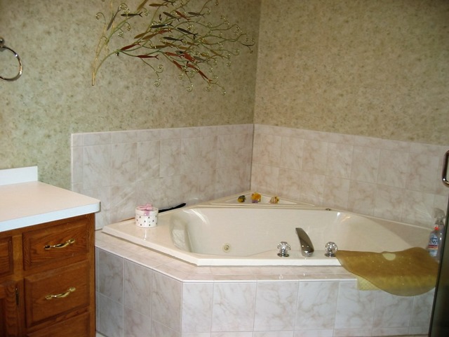 1036 Teal Ave, Peotone, IL 60468 photo 9