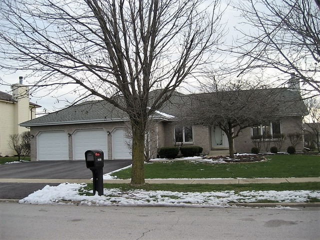 1036 Teal Ave, Peotone, IL 60468 photo 1