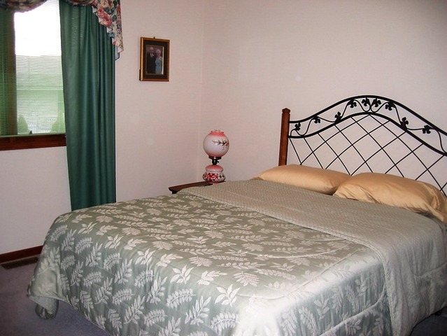 1036 Teal Ave, Peotone, IL 60468 photo 13