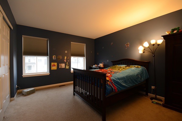 13606 Marigold Rd, Plainfield, IL 60544 photo 15