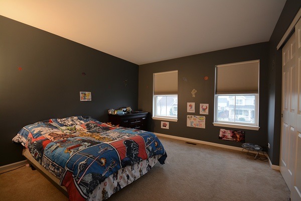13606 Marigold Rd, Plainfield, IL 60544 photo 14