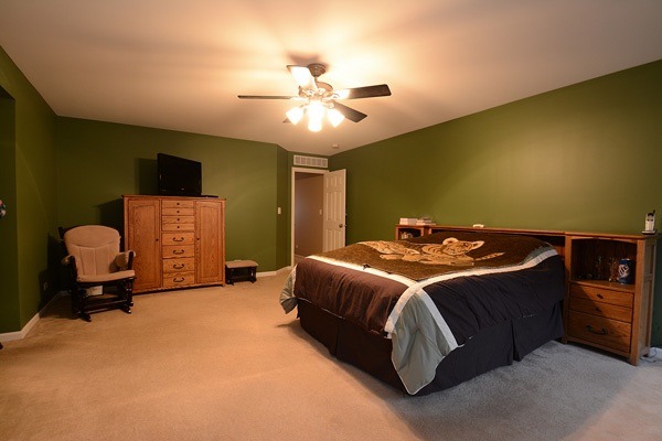13606 Marigold Rd, Plainfield, IL 60544 photo 12