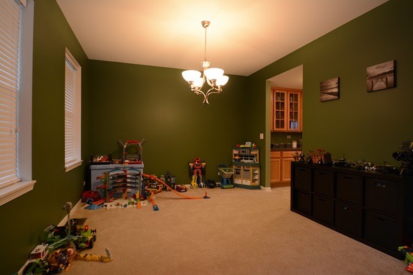 13606 Marigold Rd, Plainfield, IL 60544 photo 9