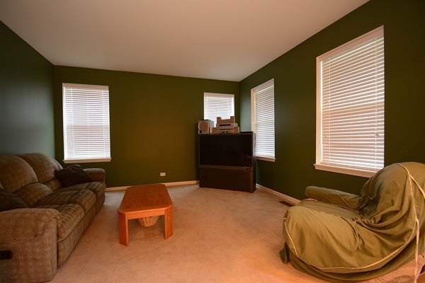 13606 Marigold Rd, Plainfield, IL 60544 photo 13