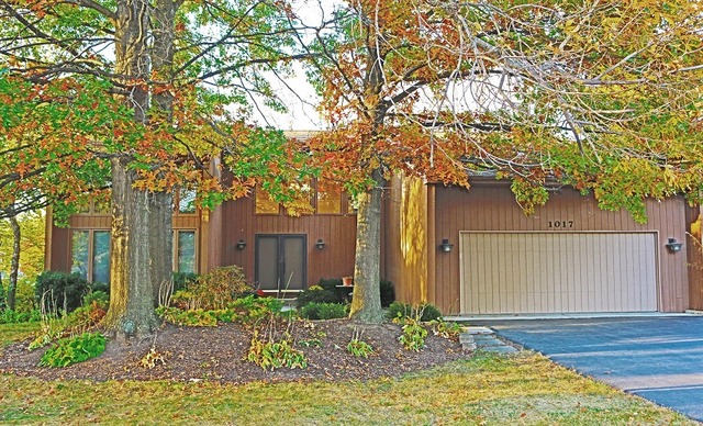 1017 Stanton Dr, Naperville, IL 60540 photo 1