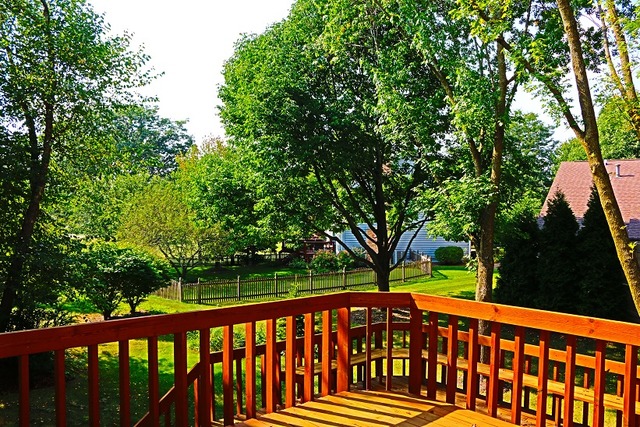 1017 Stanton Dr, Naperville, IL 60540 photo 23