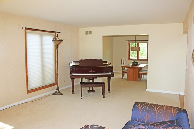 1017 Stanton Dr, Naperville, IL 60540 photo 5