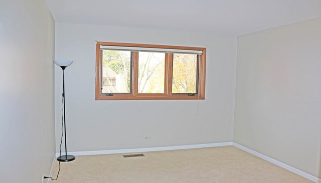 1017 Stanton Dr, Naperville, IL 60540 photo 17