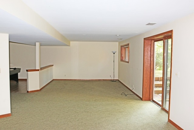 1017 Stanton Dr, Naperville, IL 60540 photo 20