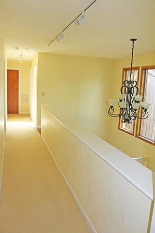 1017 Stanton Dr, Naperville, IL 60540 photo 11