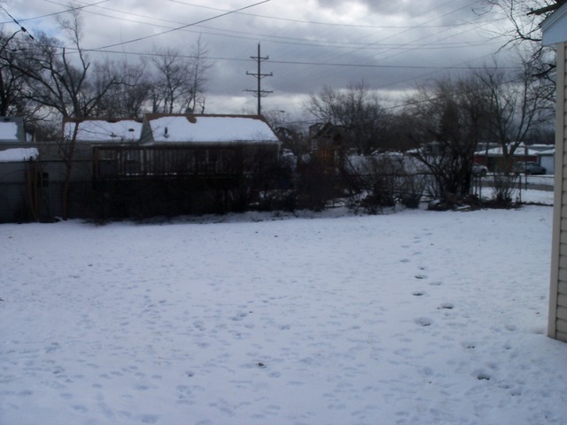 15055 Harding Ave, Midlothian, IL 60445 photo 17