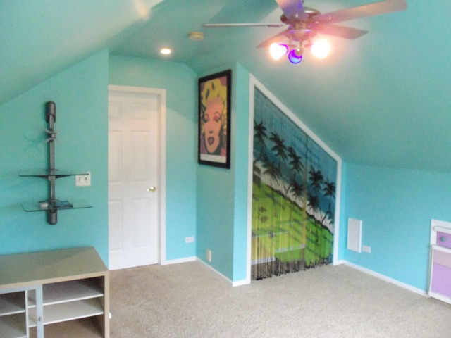 874 Margret St, Des Plaines, IL 60016 photo 19