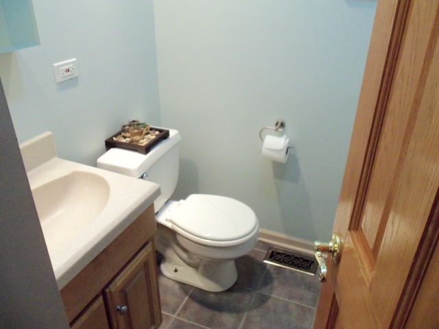 874 Margret St, Des Plaines, IL 60016 photo 13