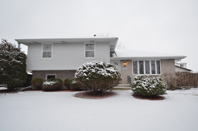 2405 Joe Adler Dr, Plainfield, IL 60586 photo 1
