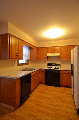 2405 Joe Adler Dr, Plainfield, IL 60586 photo 4