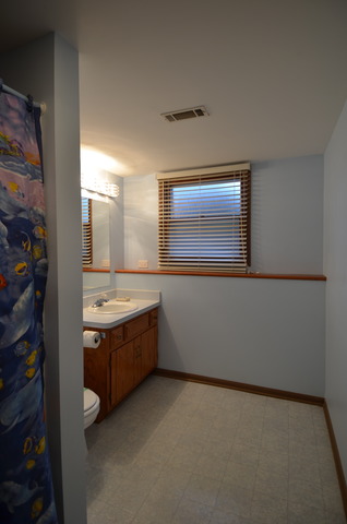 2405 Joe Adler Dr, Plainfield, IL 60586 photo 12